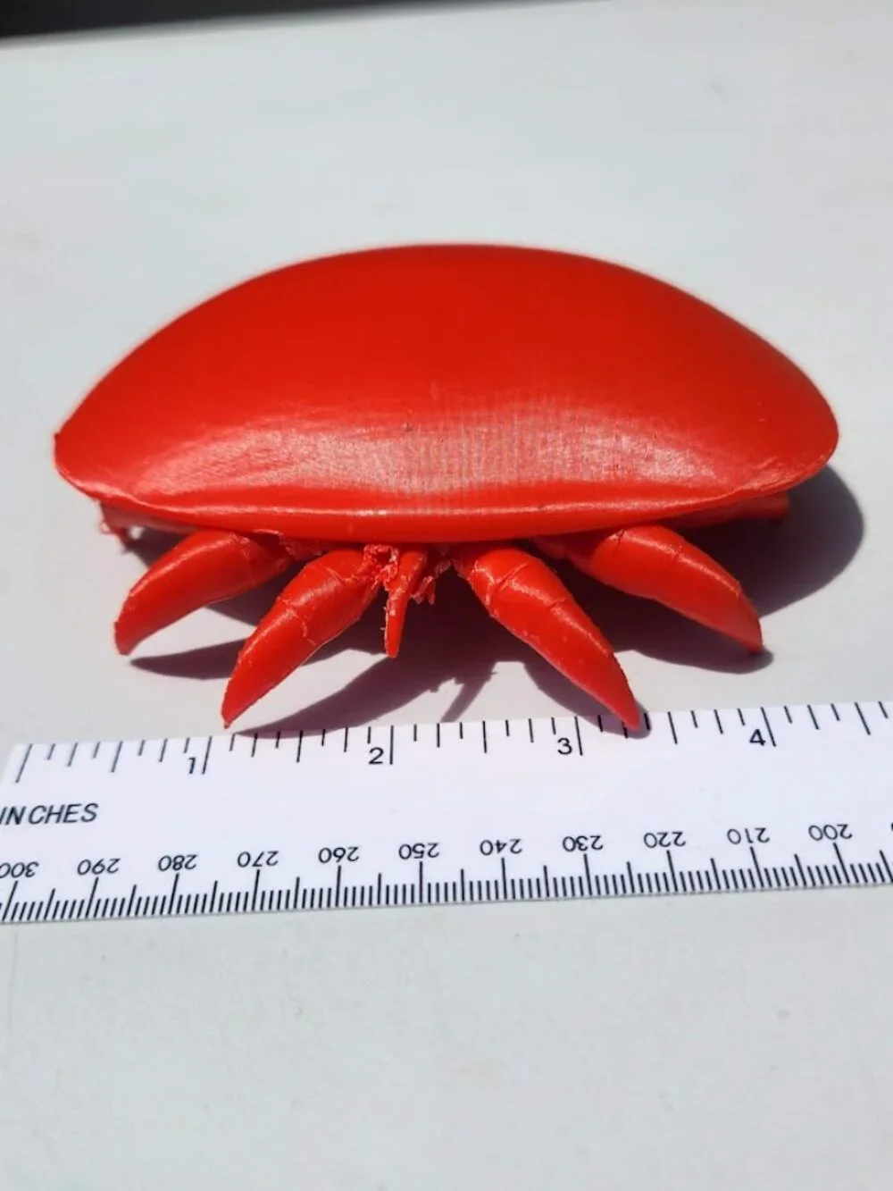 Varroa Mite Varoa Destructor Bug Insect Model Beekeeping Honeybees Bee Save the